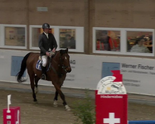 Reitturnier Henau 2022