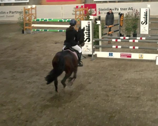 Reitturnier Henau 2022