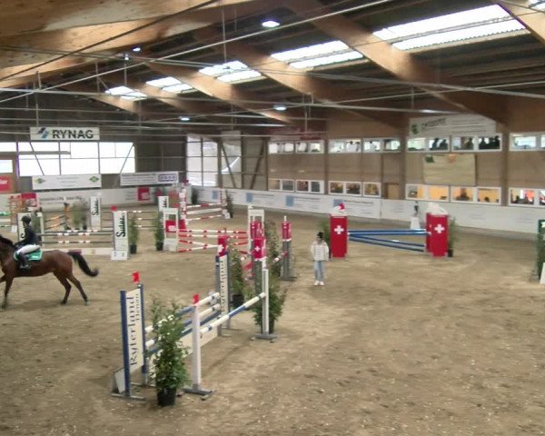 Reitturnier Henau 2022