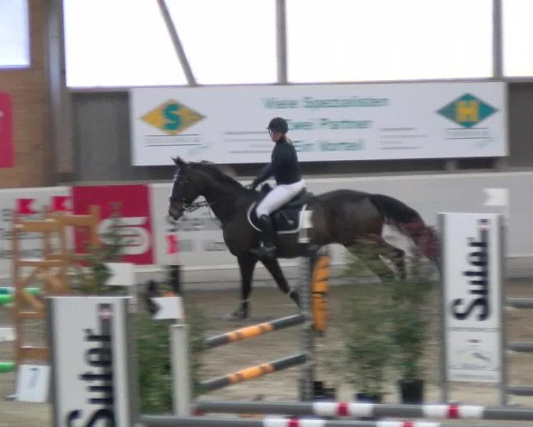 Reitturnier Henau 2022
