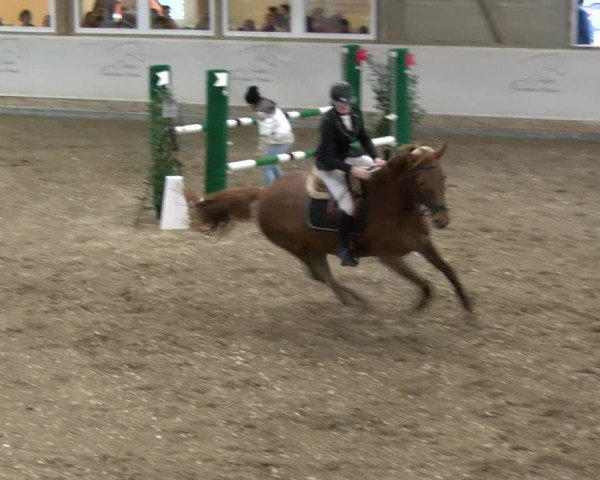 Reitturnier Bülach 2022