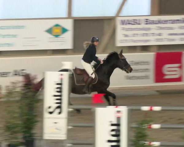 Reitturnier Henau 2022