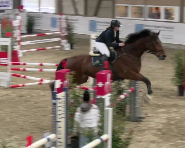 Reitturnier Henau 2022