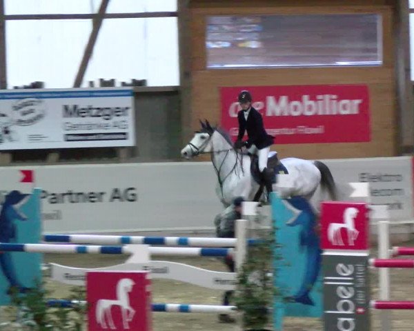 Reitturnier Henau 2022