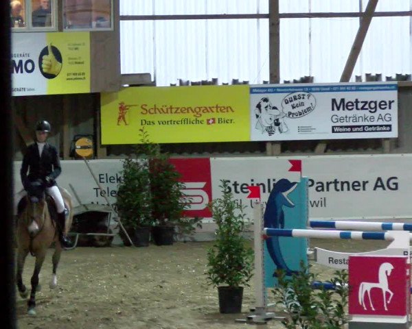Reitturnier Henau 2022
