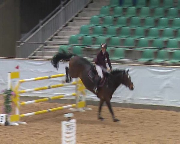 Reitturnier Kreuth/Opf. 2022