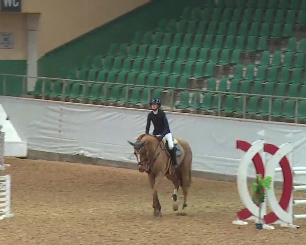 Reitturnier Kreuth/Opf. 2022