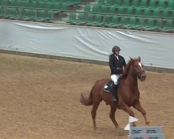 Reitturnier Kreuth/Opf. 2022
