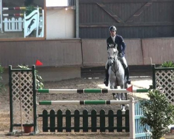broodmare Colette 101 (Holsteiner, 2003, from Caretino)