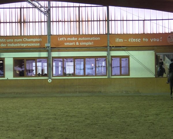 Reitturnier Appelhülsen 2022