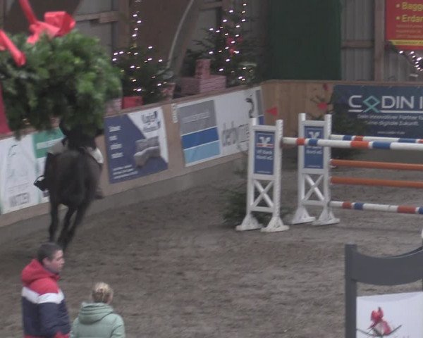 Reitturnier Leck 2022