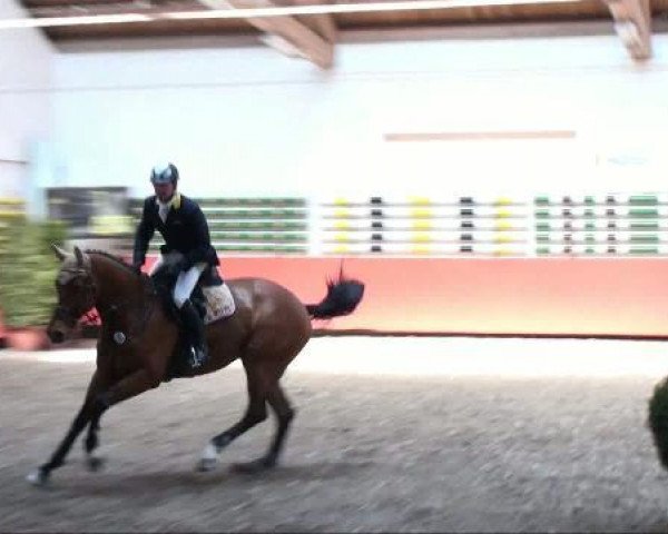 jumper Landkrona III (Bavarian, 2005, from Landprinz)