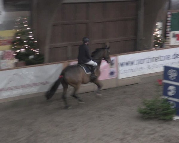 Reitturnier Leck 2022