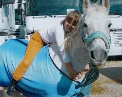 dressage horse Tanja (German Riding Pony, 1992, from Namajan)