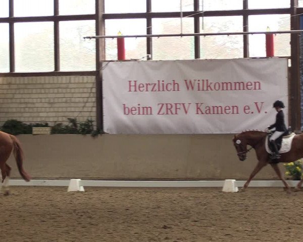 Reitturnier Kamen 2022