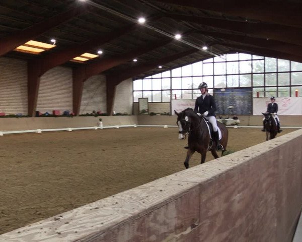 Reitturnier Kamen 2022