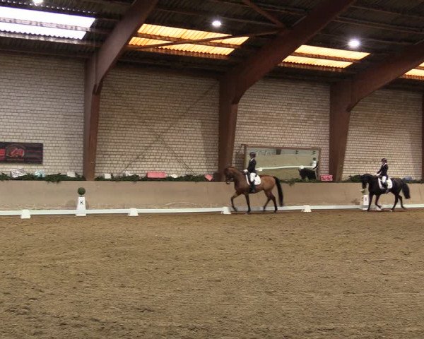 Reitturnier Kamen 2022