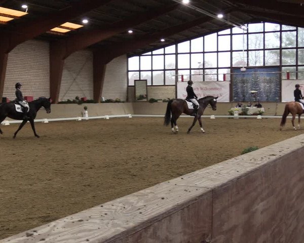Reitturnier Kamen 2022