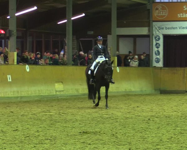 Reitturnier Appelhülsen 2022