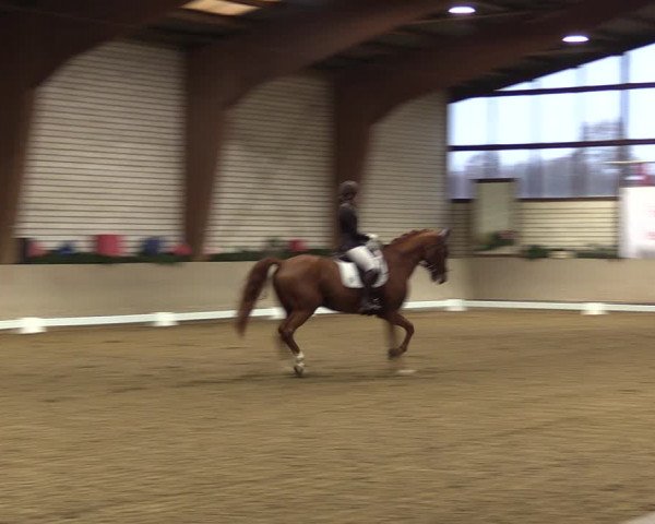 Reitturnier Kamen 2022
