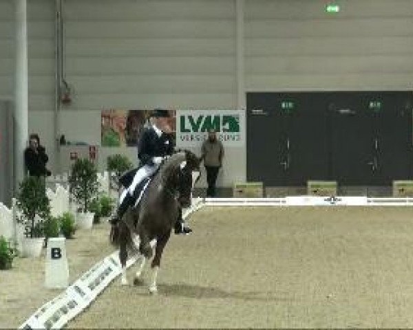 dressage horse Laser Thi (Westphalian, 1997, from Lagavulin) dressage horse Laser Thi (Westphalian, 1997, from Lagavulin)