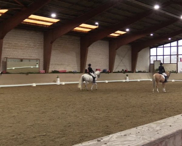 Reitturnier Kamen 2022