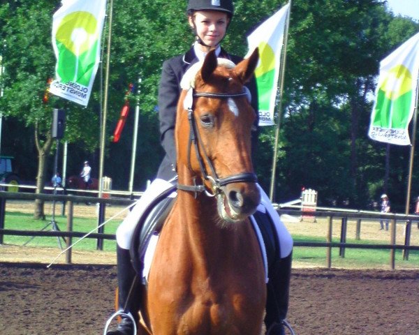 dressage horse Wedding Surprise (Oldenburg, 1998, from Wenckstern)