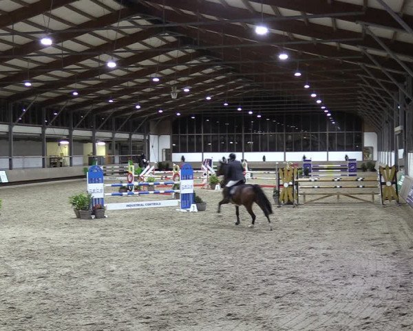 Reitturnier Langenfeld - Gut Langfort 2022