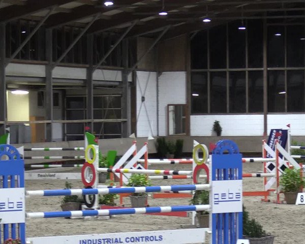 Reitturnier Langenfeld - Gut Langfort 2022