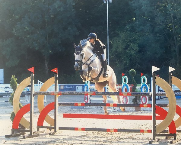 jumper Jeronette Grandia (KWPN (Royal Dutch Sporthorse), 2014, from Eldorado van de Zeshoek)