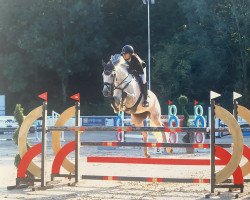 jumper Jeronette Grandia (KWPN (Royal Dutch Sporthorse), 2014, from Eldorado van de Zeshoek)