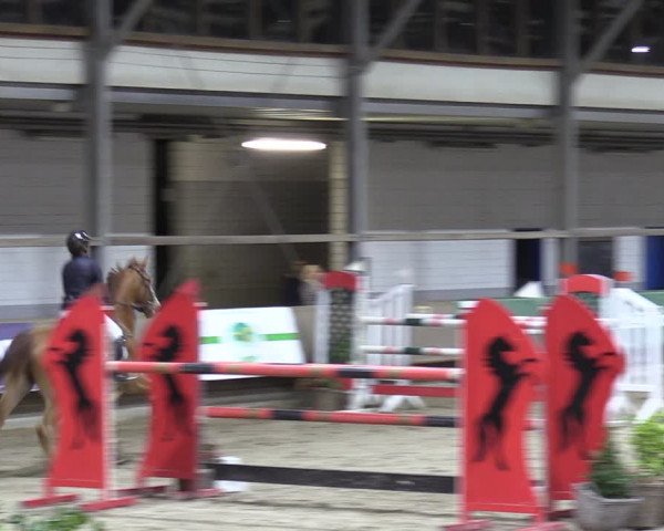 Reitturnier Langenfeld - Gut Langfort 2022