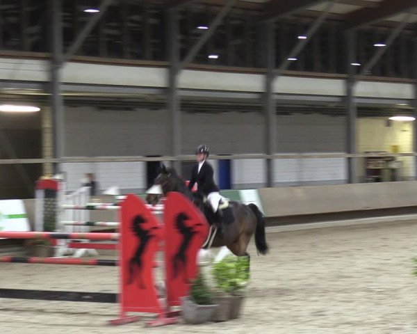 Reitturnier Langenfeld - Gut Langfort 2022