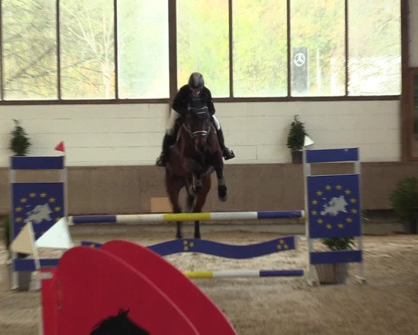 Reitturnier Langenfeld - Gut Langfort 2022