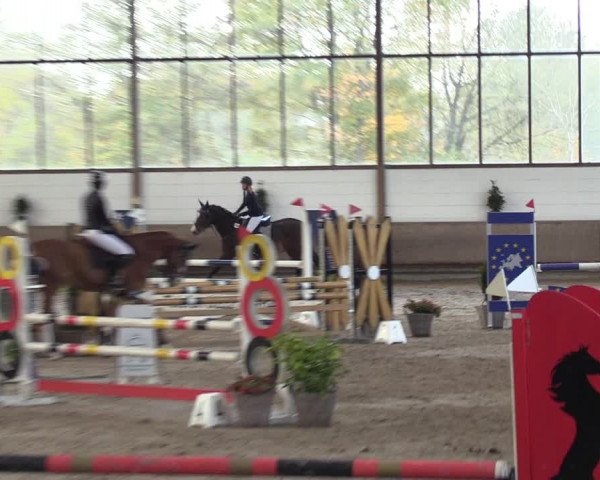 Reitturnier Langenfeld - Gut Langfort 2022