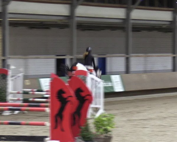 Reitturnier Langenfeld - Gut Langfort 2022