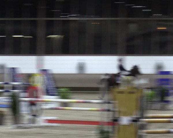 Reitturnier Langenfeld - Gut Langfort 2022