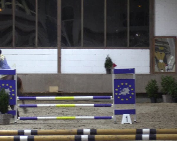 Reitturnier Langenfeld - Gut Langfort 2022