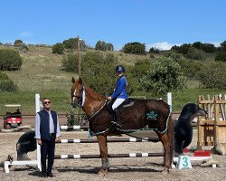 jumper Gelunia Baraka (KWPN (Royal Dutch Sporthorse), 2011, from Wizzerd WV)