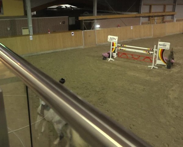 Reitturnier Osterholz 2022