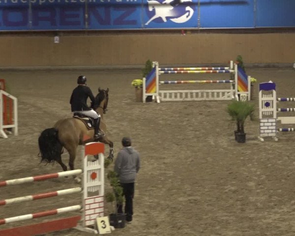 Reitturnier Osterholz 2022