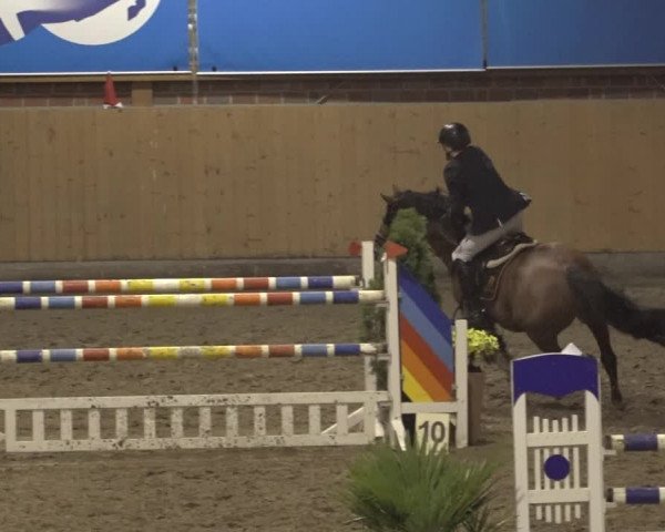 Reitturnier Osterholz 2022