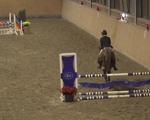 Reitturnier Osterholz 2022