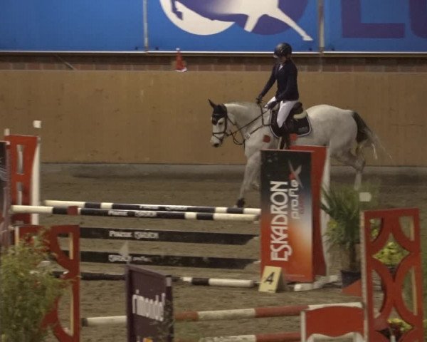 Reitturnier Osterholz 2022