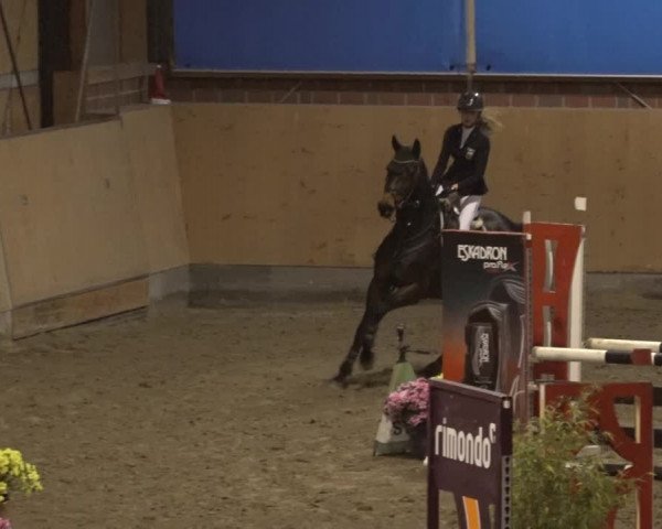 Reitturnier Osterholz 2022