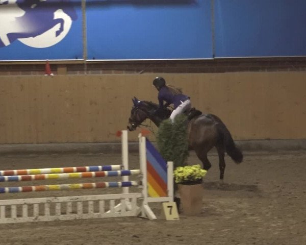 Reitturnier Osterholz 2022