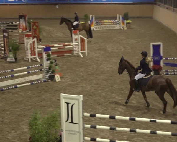 Reitturnier Osterholz 2022