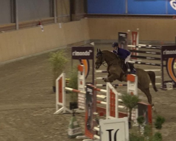 Reitturnier Osterholz 2022