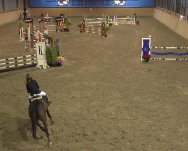 Reitturnier Osterholz 2022