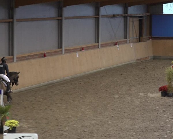 Reitturnier Osterholz 2022
